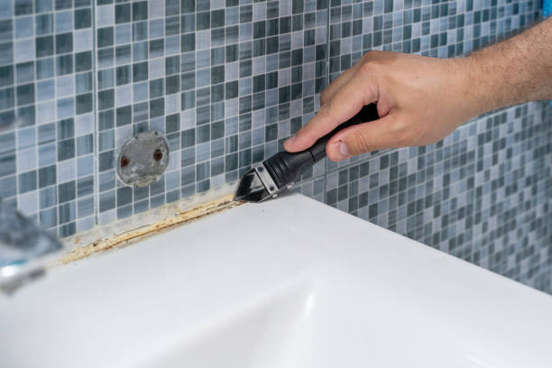 Best Emergency Mold Removal  in Altamonte Springs, FL